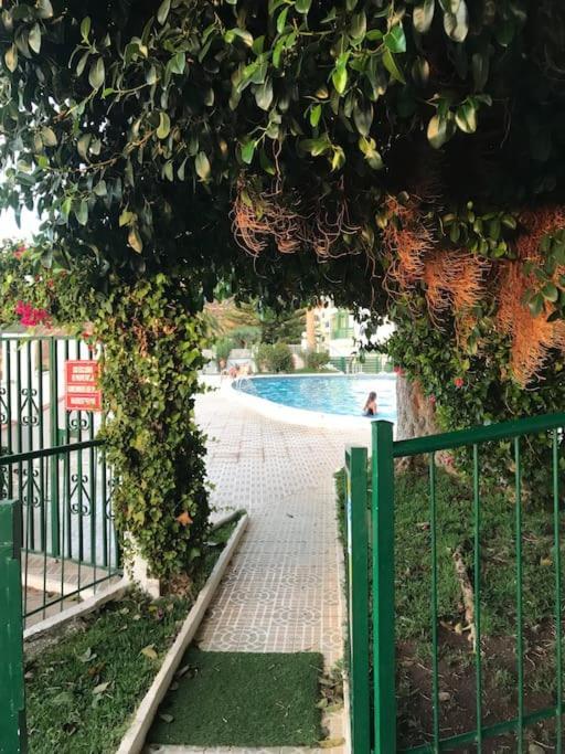 Sea View Relax And Surf Διαμέρισμα Bajamar  Εξωτερικό φωτογραφία